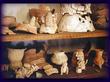 "1074443542$CYFM4MABA1VPWA16RF1P$31.jpg" &copy; [a=http://mayaruins.com]Barbara A. McKenzie[/a]